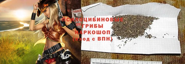 СК Белокуриха