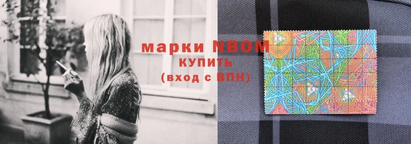 СК Белокуриха