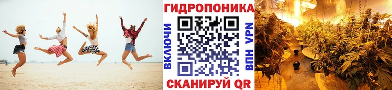 Бошки Шишки VHQ  Шилка 